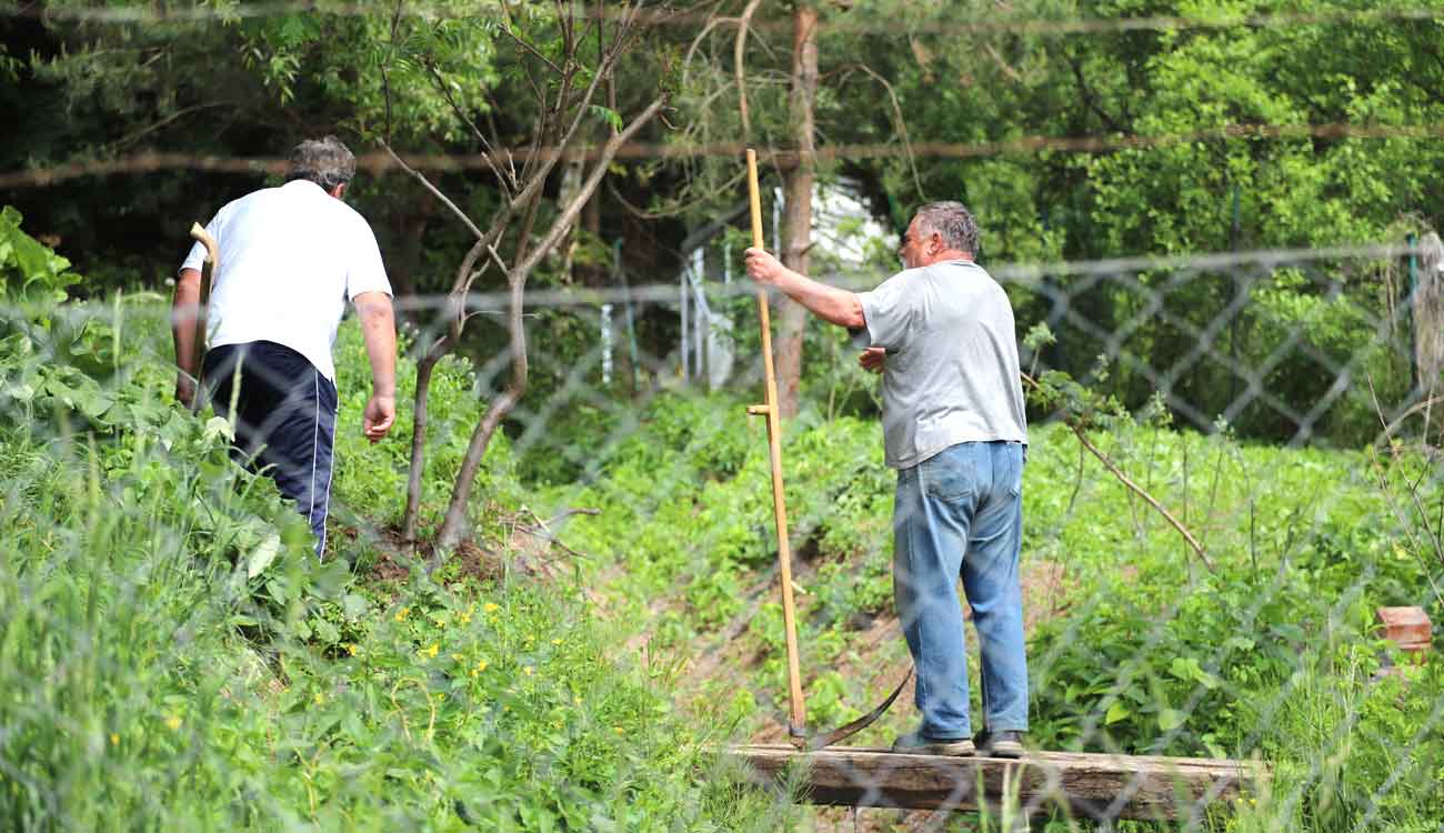 images/brigada/2025/brigada-03.jpg
